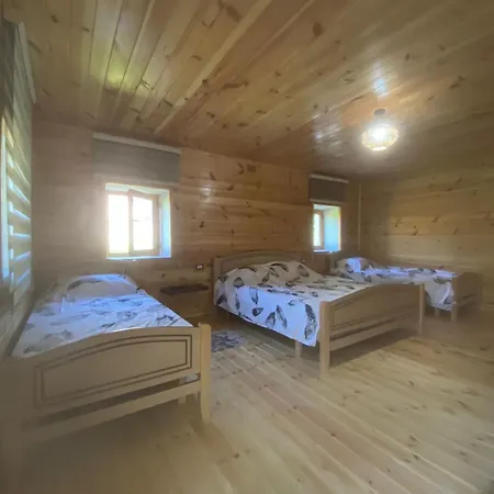 Guest house Castle *